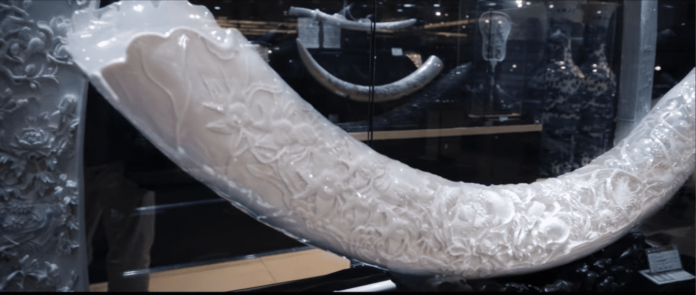 ivory